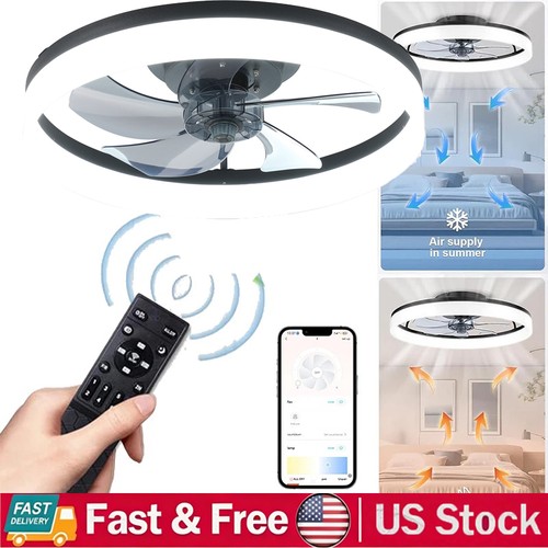 Modern fan lights - lights, flush